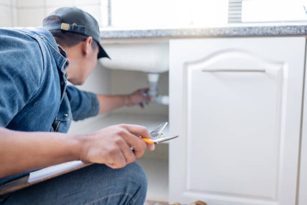 Best Local Plumber Services  in Topton, PA